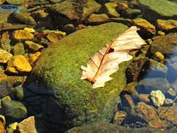 苹果手机小白点